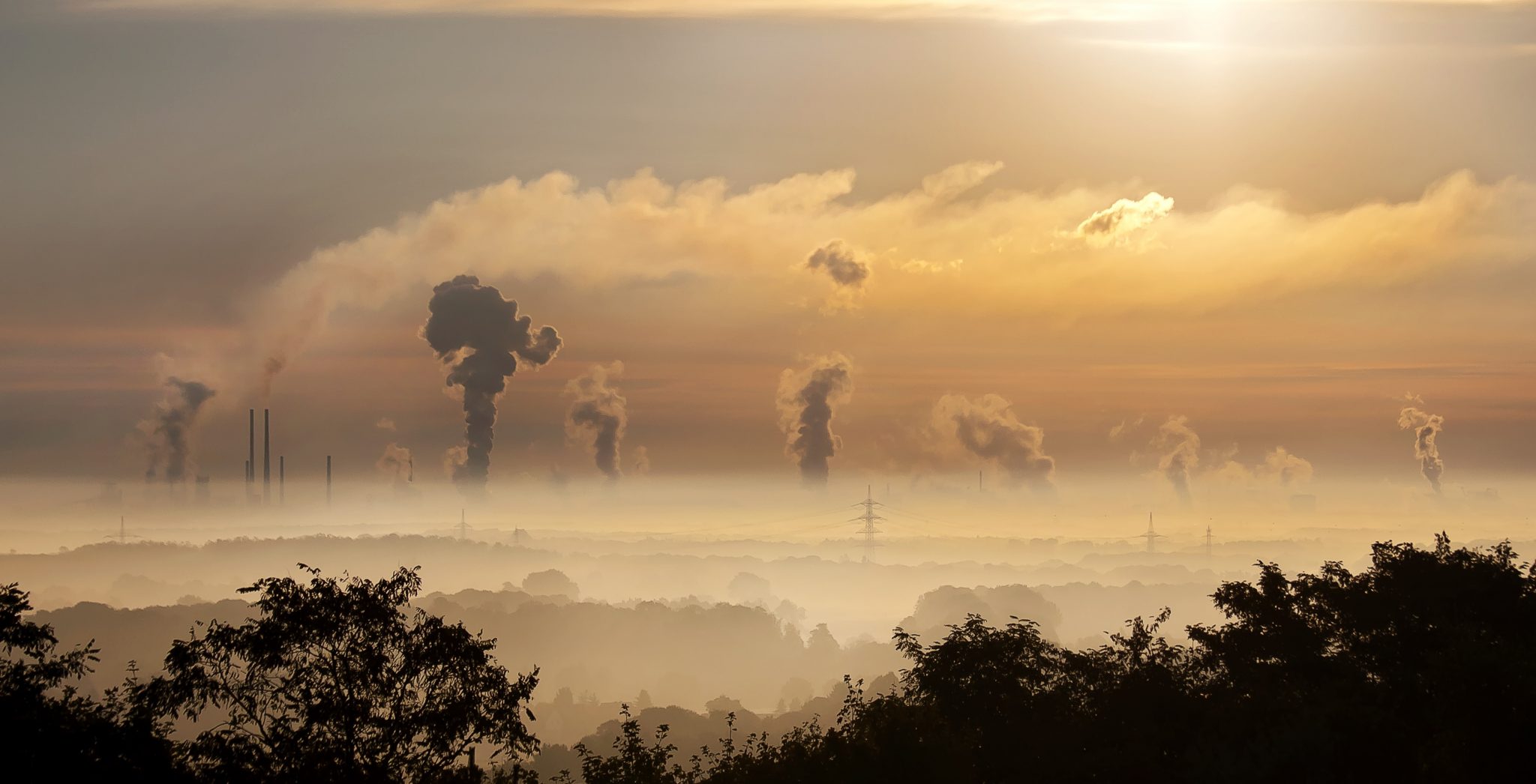 How Does Air Pollution Affect Your Heart?